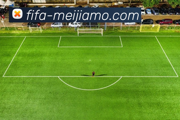 FIFA世界杯APP 封面图